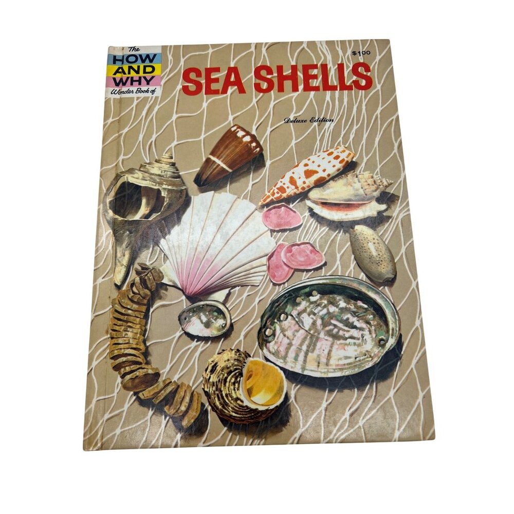 1961 How And Why Wonder Book Of Sea Shells Grosset Dunlap HC Illustrated Vintage